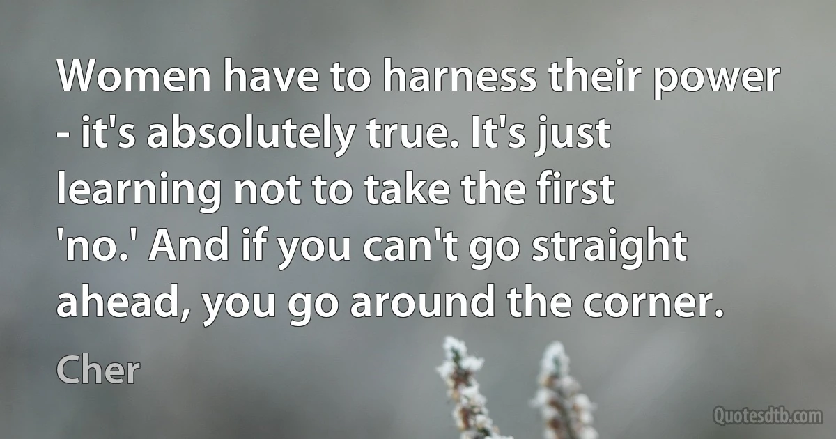 Women have to harness their power - it's absolutely true. It's just learning not to take the first 'no.' And if you can't go straight ahead, you go around the corner. (Cher)