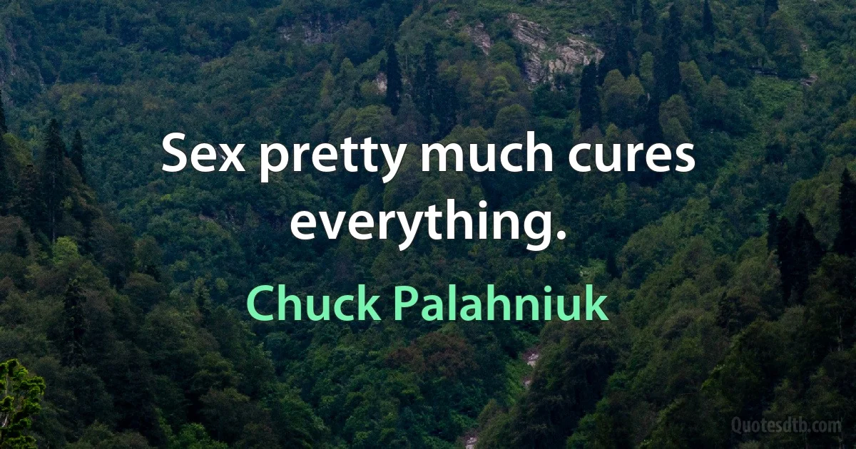 Sex pretty much cures everything. (Chuck Palahniuk)