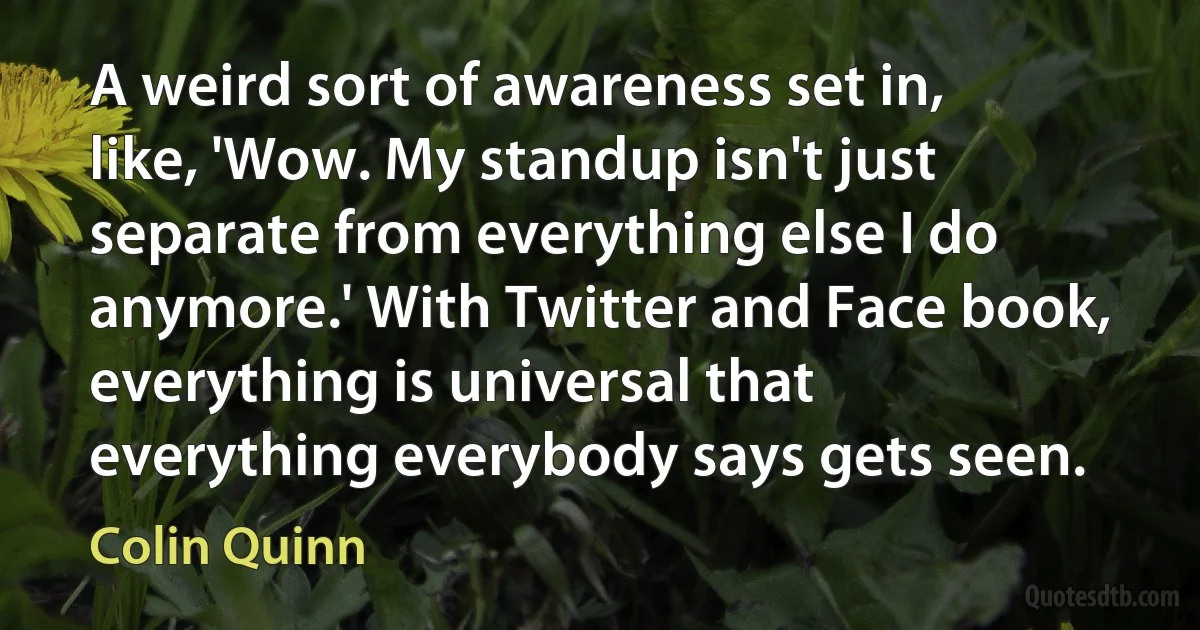 A weird sort of awareness set in, like, 'Wow. My standup isn't just separate from everything else I do anymore.' With Twitter and Face book, everything is universal that everything everybody says gets seen. (Colin Quinn)