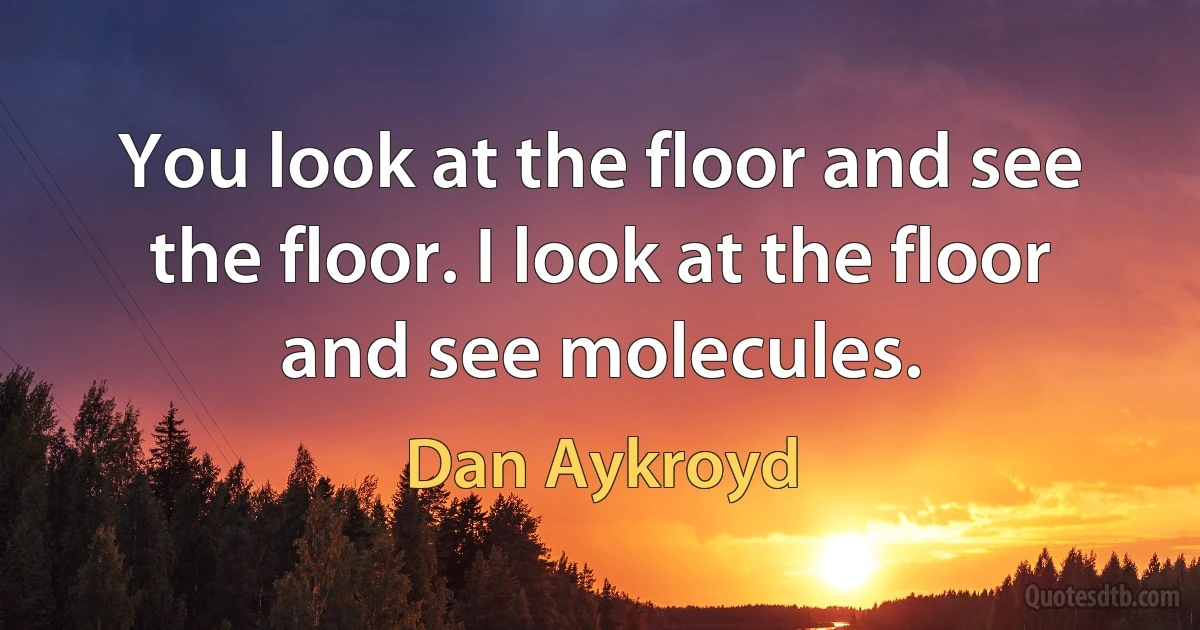 You look at the floor and see the floor. I look at the floor and see molecules. (Dan Aykroyd)