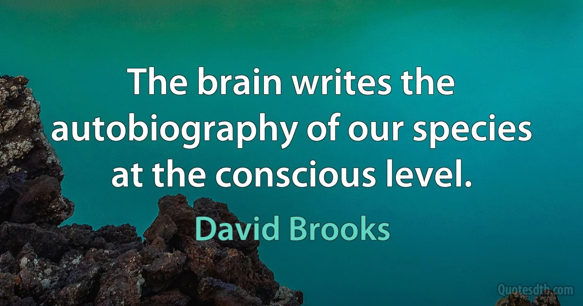 The brain writes the autobiography of our species at the conscious level. (David Brooks)