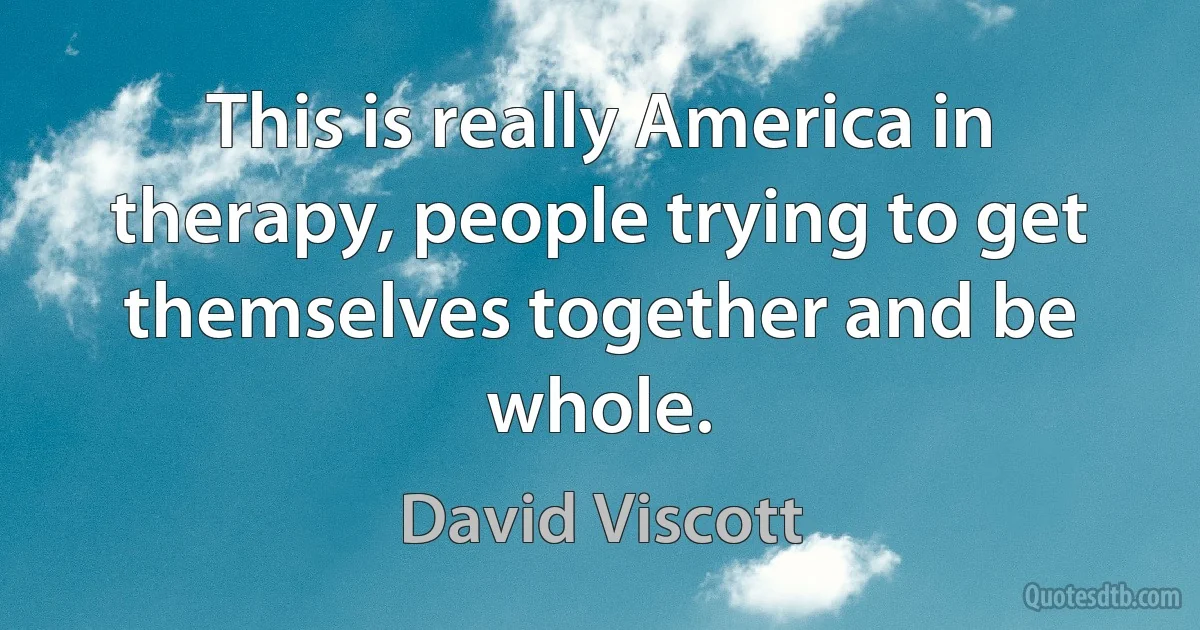 This is really America in therapy, people trying to get themselves together and be whole. (David Viscott)