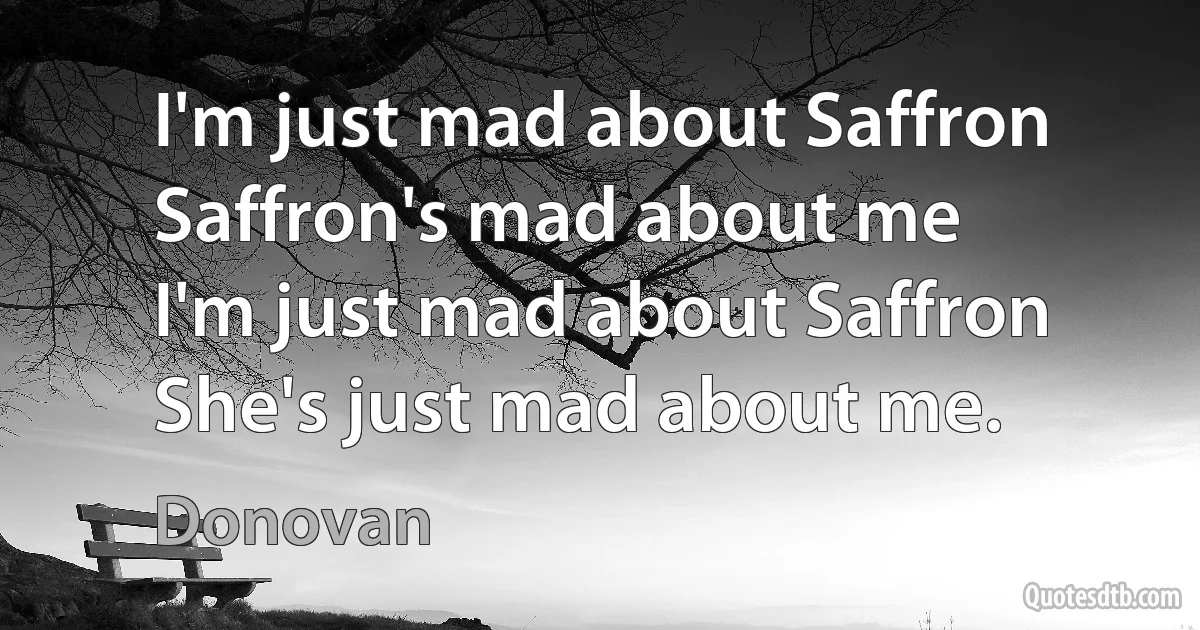 I'm just mad about Saffron
Saffron's mad about me
I'm just mad about Saffron
She's just mad about me. (Donovan)