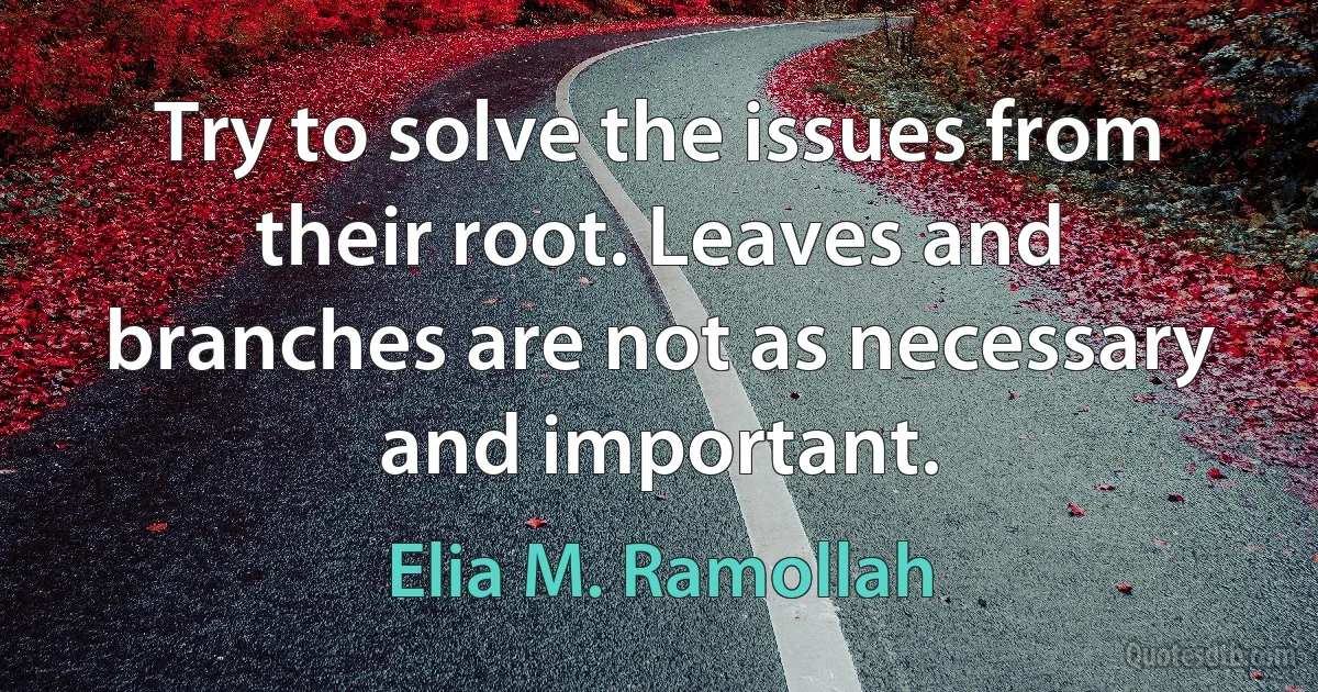 Try to solve the issues from their root. Leaves and branches are not as necessary and important. (Elia M. Ramollah)