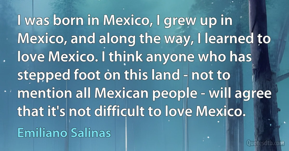 I was born in Mexico, I grew up in Mexico, and along the way, I learned to love Mexico. I think anyone who has stepped foot on this land - not to mention all Mexican people - will agree that it's not difficult to love Mexico. (Emiliano Salinas)