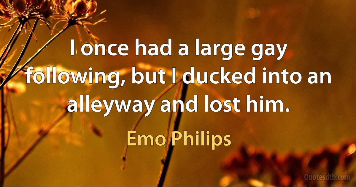 I once had a large gay following, but I ducked into an alleyway and lost him. (Emo Philips)