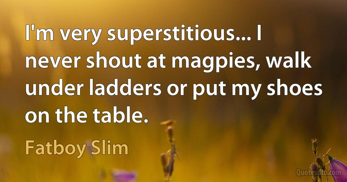 I'm very superstitious... I never shout at magpies, walk under ladders or put my shoes on the table. (Fatboy Slim)