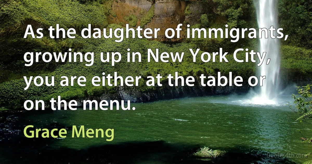 As the daughter of immigrants, growing up in New York City, you are either at the table or on the menu. (Grace Meng)