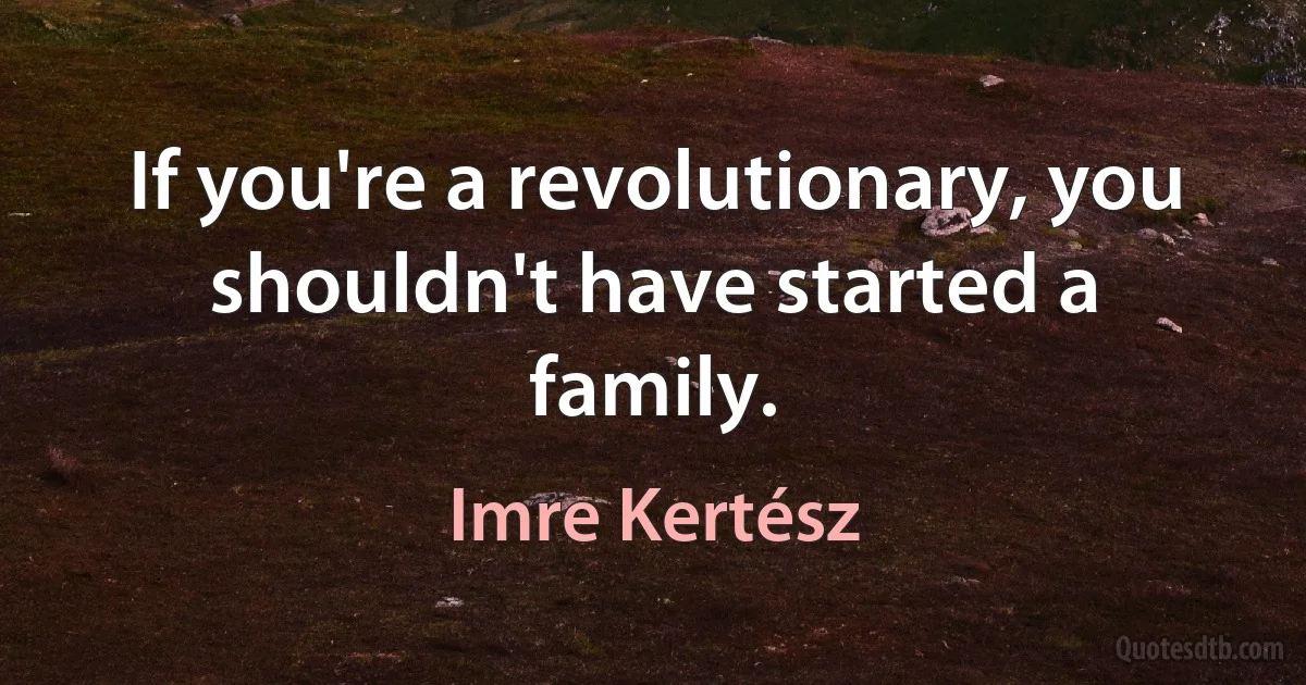 If you're a revolutionary, you shouldn't have started a family. (Imre Kertész)