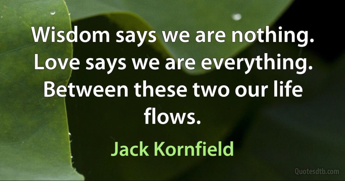 Wisdom says we are nothing. Love says we are everything. Between these two our life flows. (Jack Kornfield)