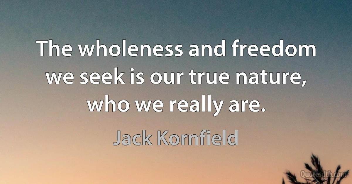 The wholeness and freedom we seek is our true nature, who we really are. (Jack Kornfield)