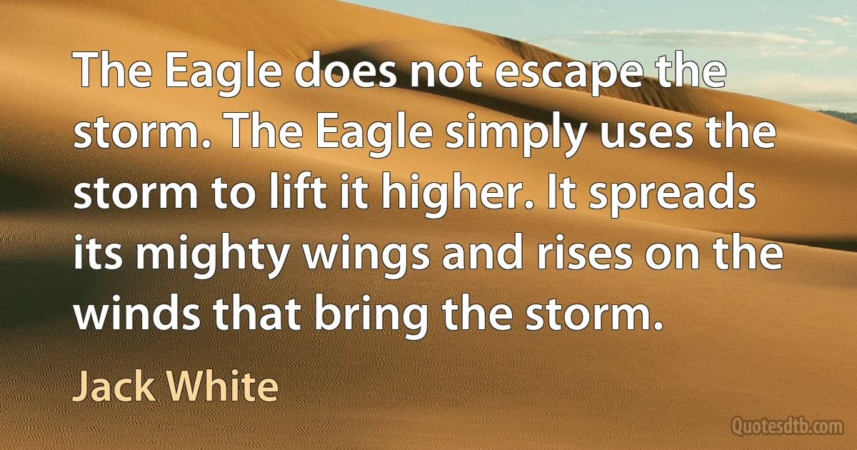 The Eagle does not escape the storm. The Eagle simply uses the storm to lift it higher. It spreads its mighty wings and rises on the winds that bring the storm. (Jack White)