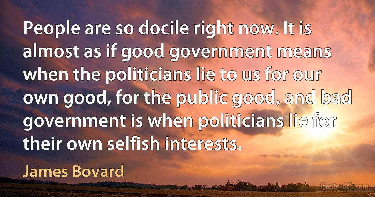 People are so docile right now. It is almost as if good government means when the politicians lie to us for our own good, for the public good, and bad government is when politicians lie for their own selfish interests. (James Bovard)