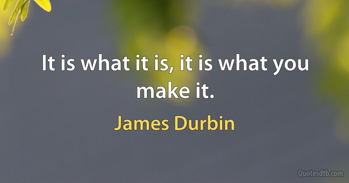 It is what it is, it is what you make it. (James Durbin)