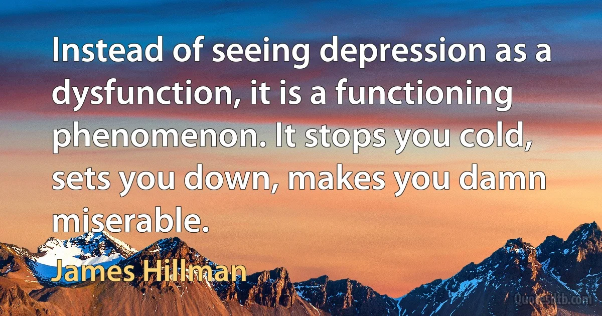 Instead of seeing depression as a dysfunction, it is a functioning phenomenon. It stops you cold, sets you down, makes you damn miserable. (James Hillman)