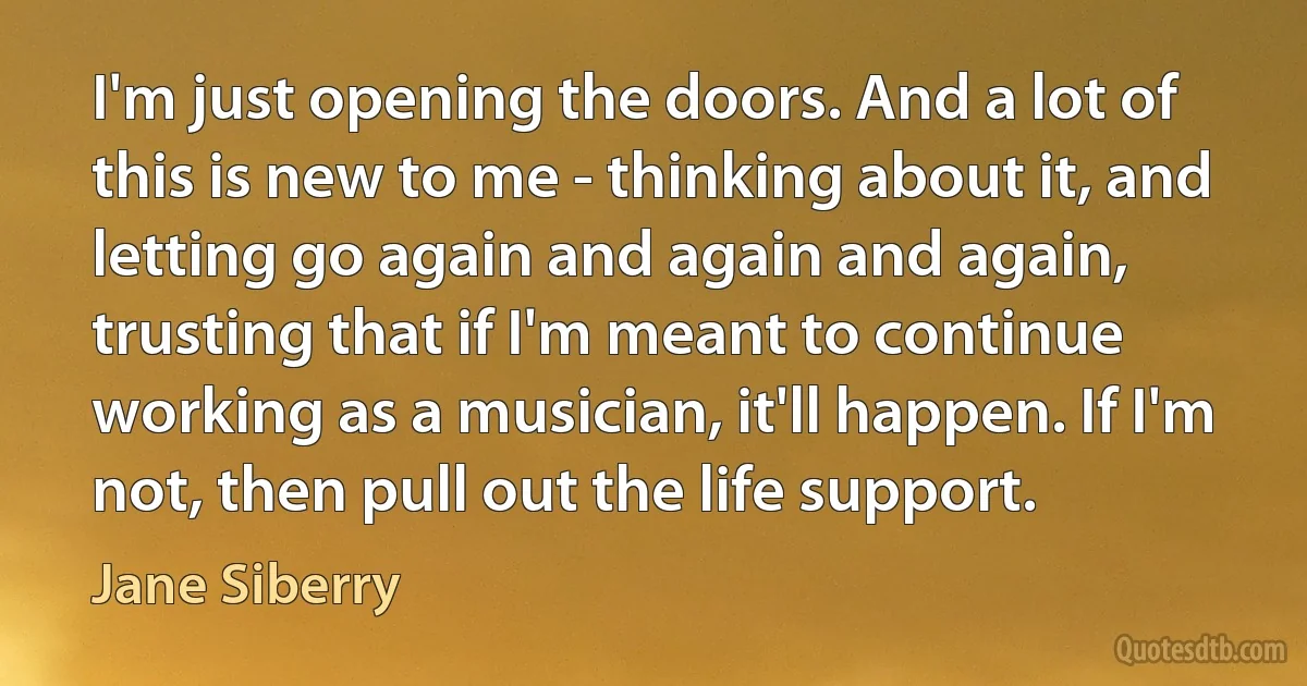 I'm just opening the doors. And a lot of this is new to me - thinking about it, and letting go again and again and again, trusting that if I'm meant to continue working as a musician, it'll happen. If I'm not, then pull out the life support. (Jane Siberry)