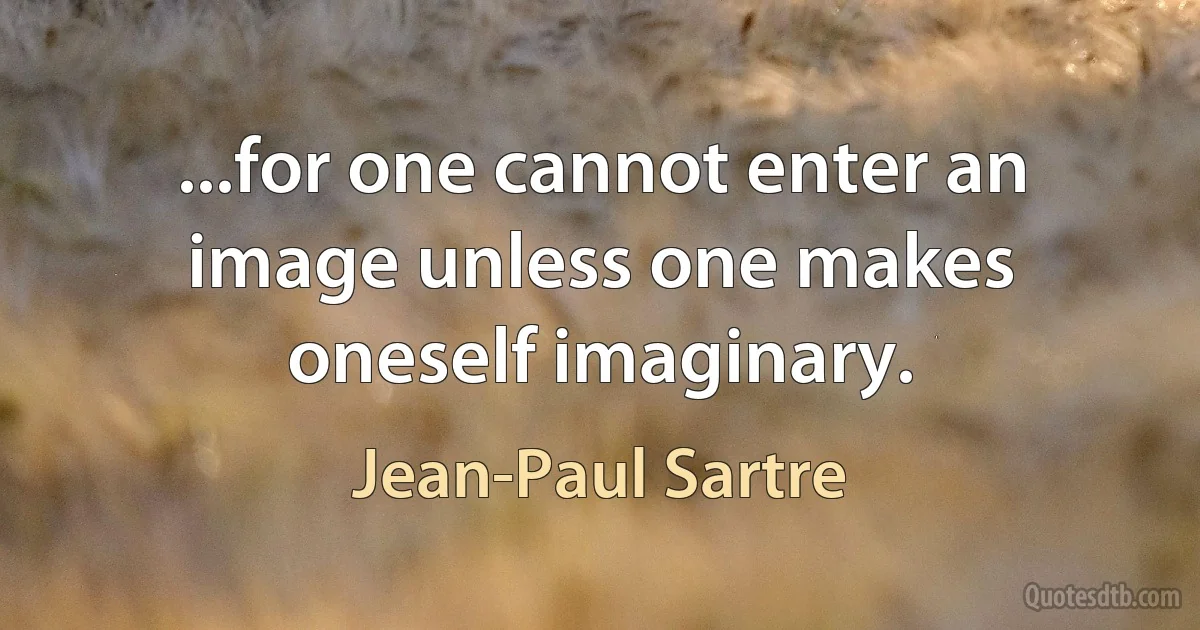 ...for one cannot enter an image unless one makes oneself imaginary. (Jean-Paul Sartre)