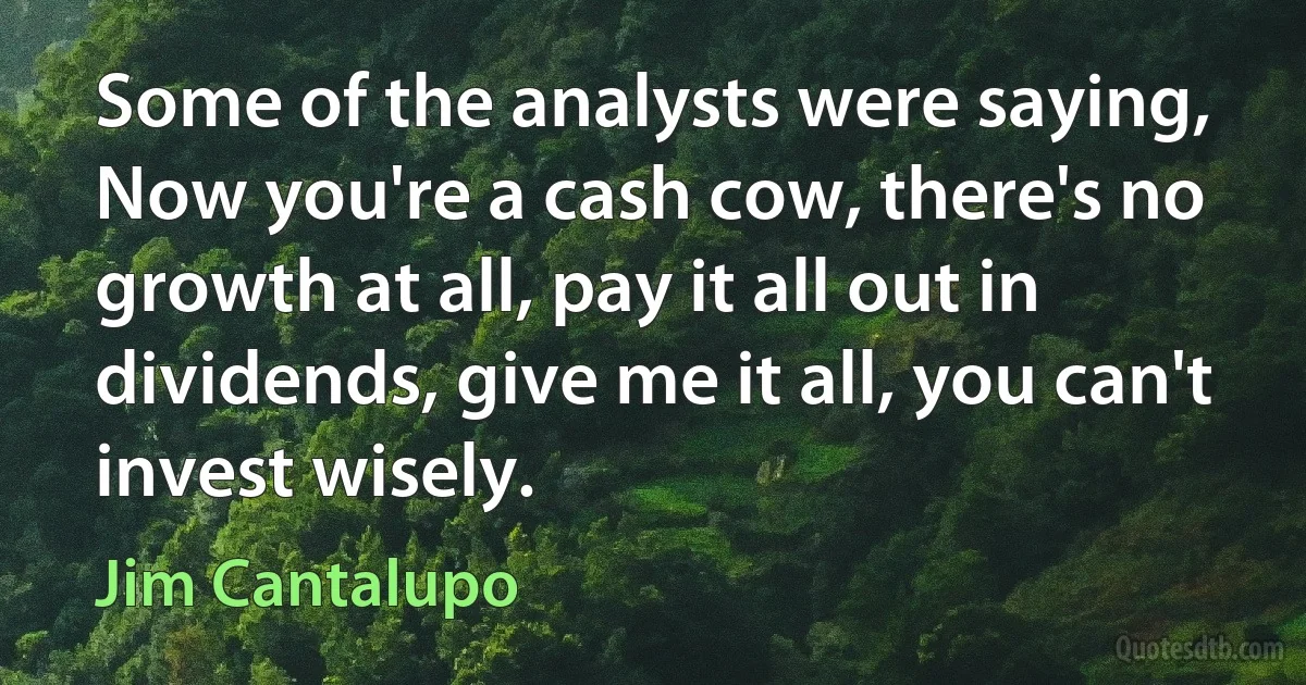 Some of the analysts were saying, Now you're a cash cow, there's no growth at all, pay it all out in dividends, give me it all, you can't invest wisely. (Jim Cantalupo)