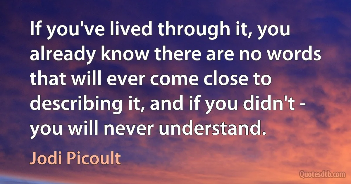 If you've lived through it, you already know there are no words that will ever come close to describing it, and if you didn't - you will never understand. (Jodi Picoult)