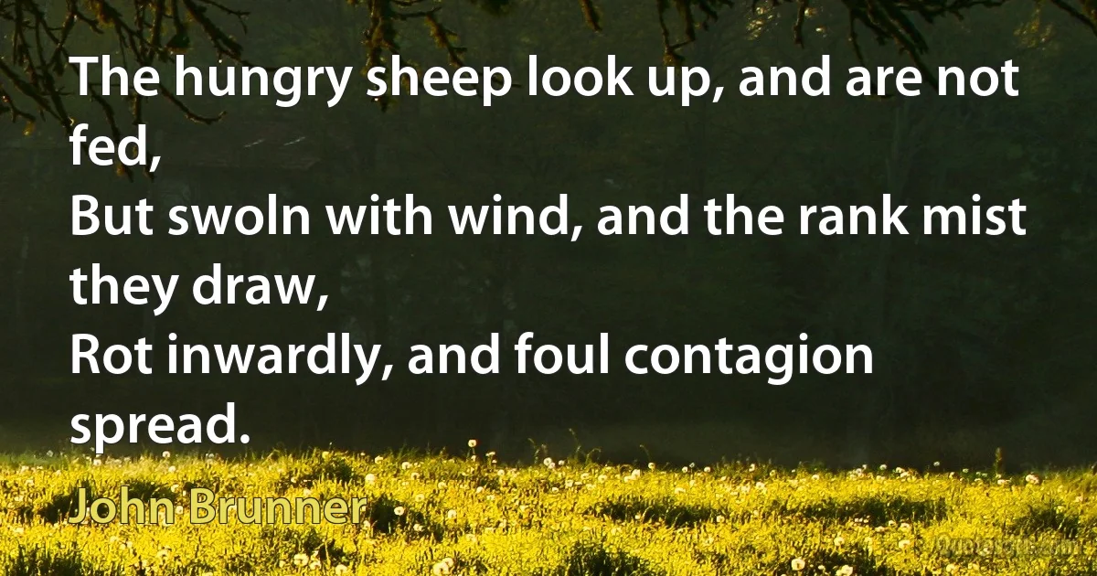 The hungry sheep look up, and are not fed,
But swoln with wind, and the rank mist they draw,
Rot inwardly, and foul contagion spread. (John Brunner)