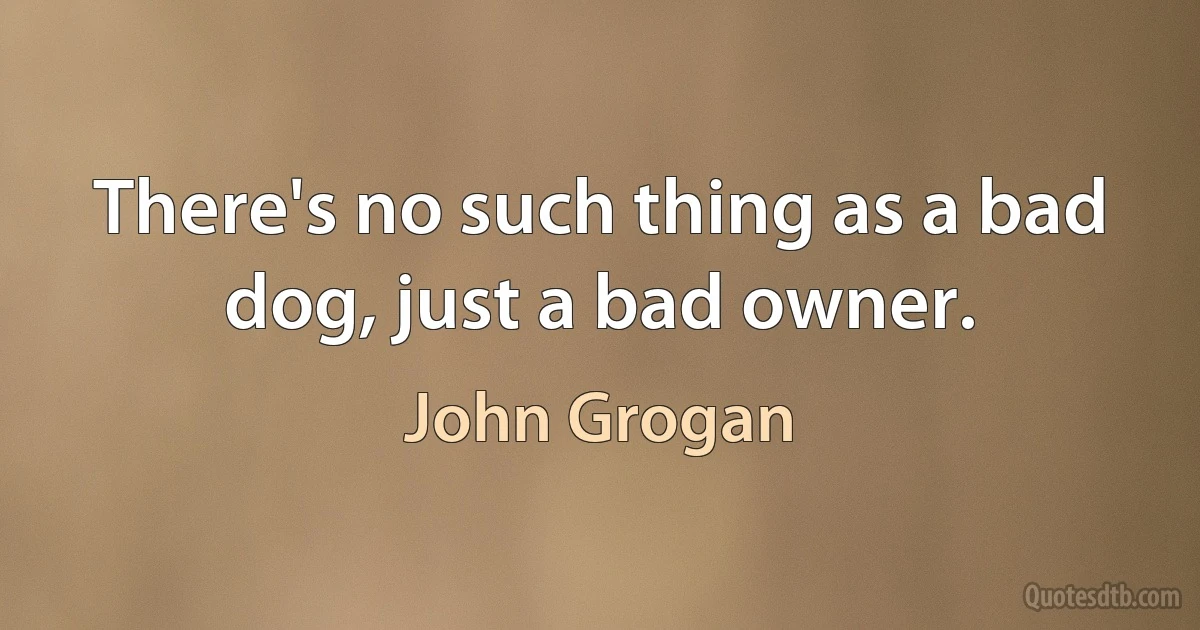 There's no such thing as a bad dog, just a bad owner. (John Grogan)