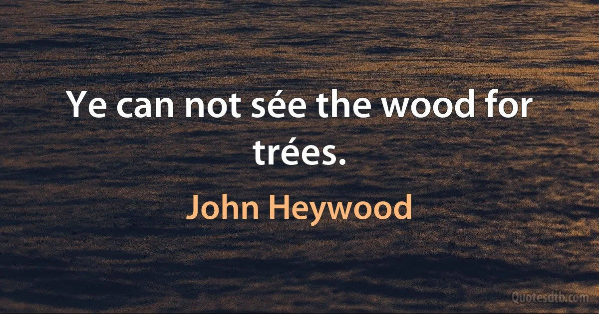 Ye can not sée the wood for trées. (John Heywood)