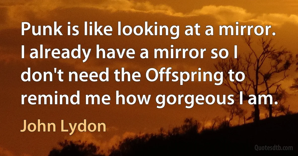 Punk is like looking at a mirror. I already have a mirror so I don't need the Offspring to remind me how gorgeous I am. (John Lydon)