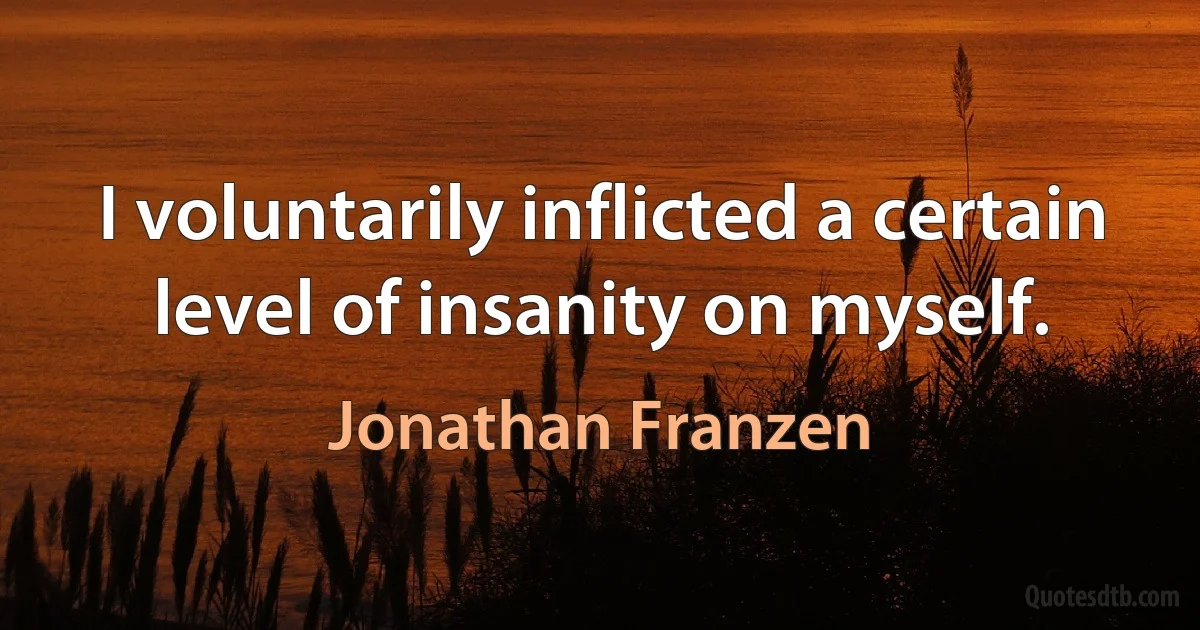 I voluntarily inflicted a certain level of insanity on myself. (Jonathan Franzen)