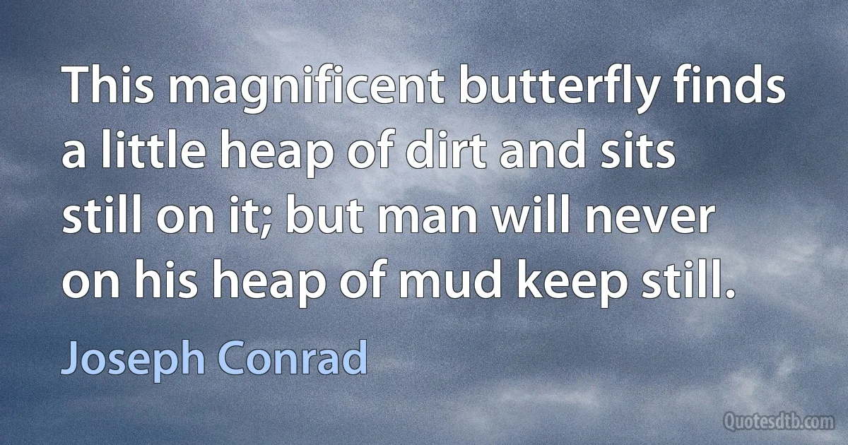 This magnificent butterfly finds a little heap of dirt and sits still on it; but man will never on his heap of mud keep still. (Joseph Conrad)