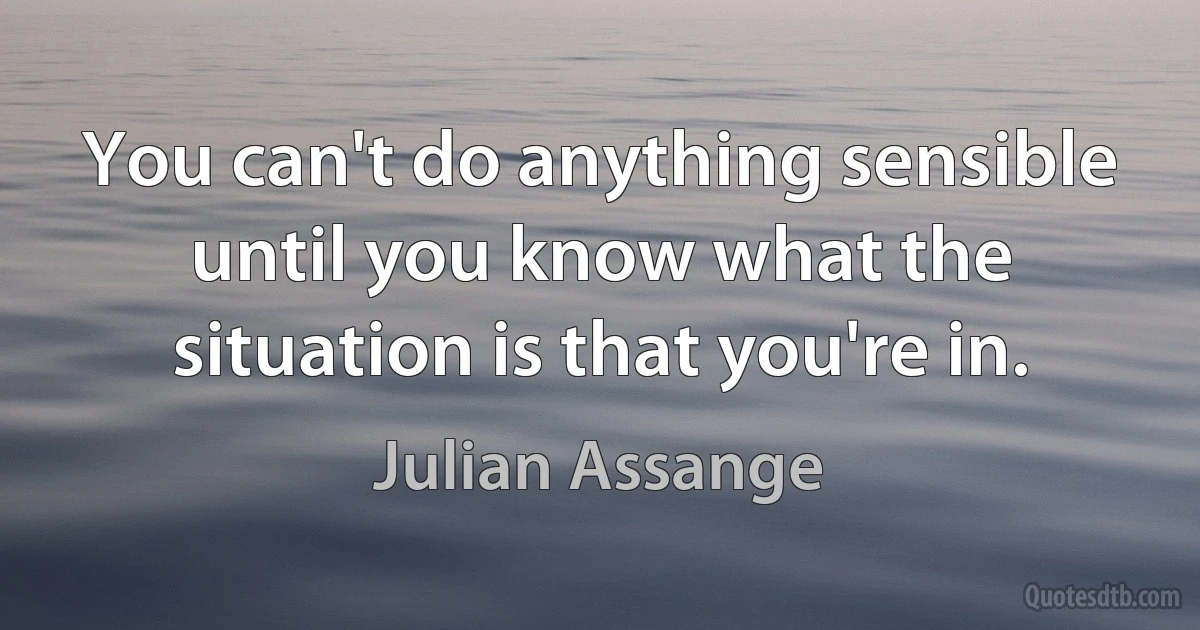 You can't do anything sensible until you know what the situation is that you're in. (Julian Assange)