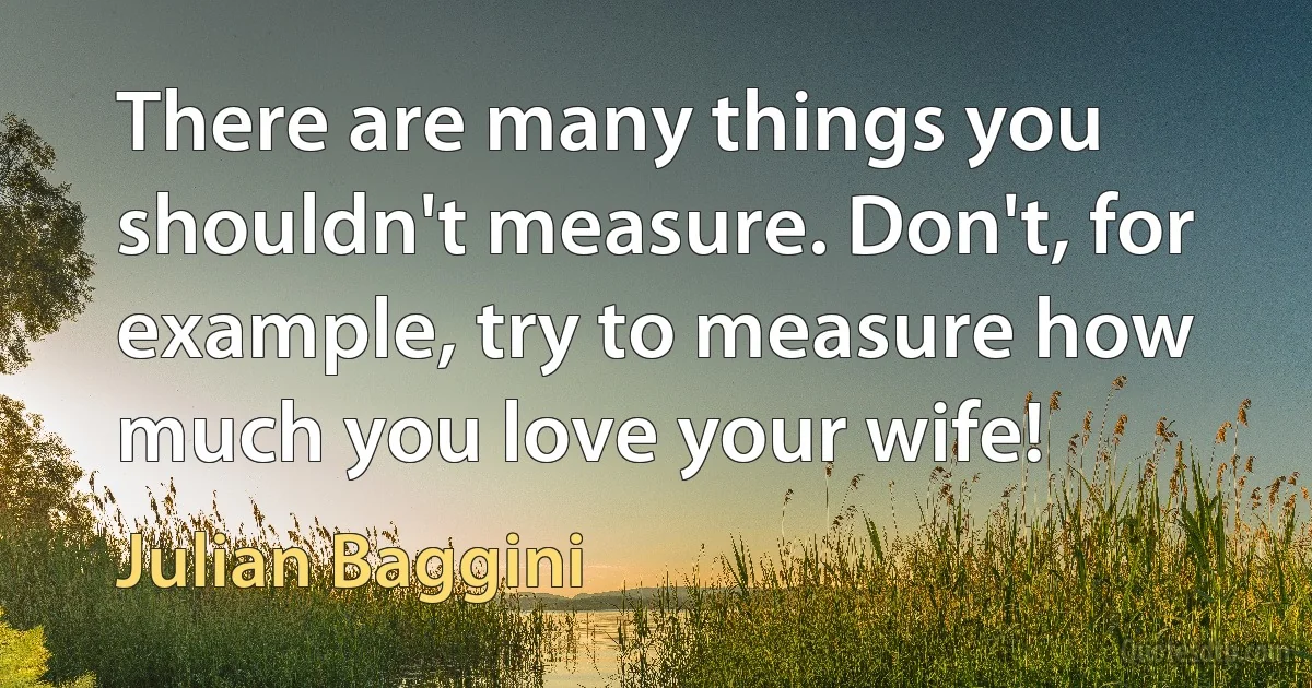 There are many things you shouldn't measure. Don't, for example, try to measure how much you love your wife! (Julian Baggini)