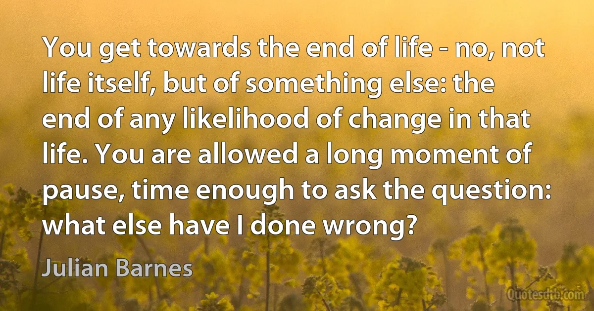 You get towards the end of life - no, not life itself, but of something else: the end of any likelihood of change in that life. You are allowed a long moment of pause, time enough to ask the question: what else have I done wrong? (Julian Barnes)