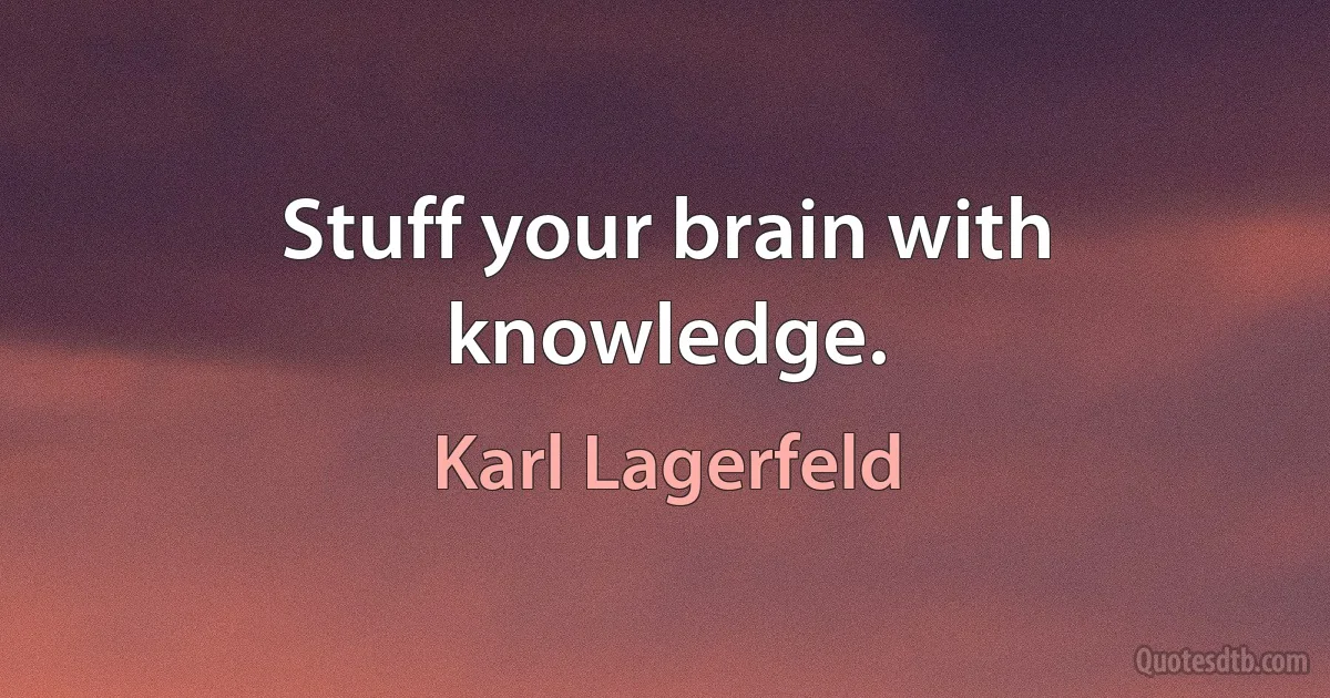 Stuff your brain with knowledge. (Karl Lagerfeld)