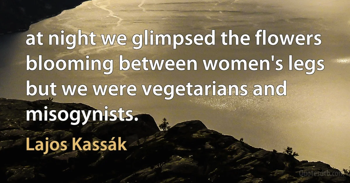 at night we glimpsed the flowers blooming between women's legs
but we were vegetarians and misogynists. (Lajos Kassák)