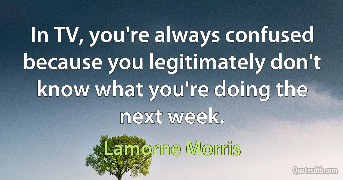 In TV, you're always confused because you legitimately don't know what you're doing the next week. (Lamorne Morris)