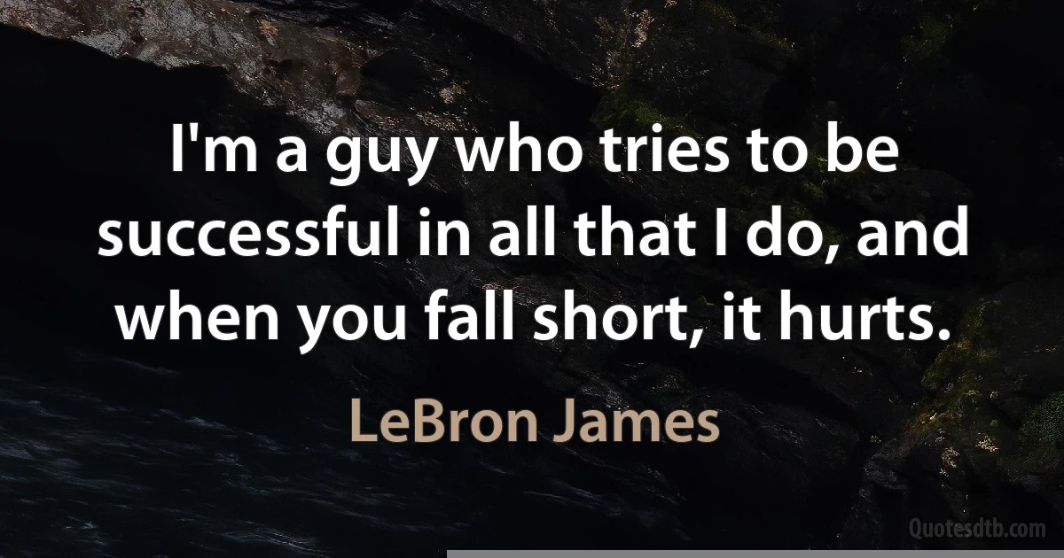 I'm a guy who tries to be successful in all that I do, and when you fall short, it hurts. (LeBron James)