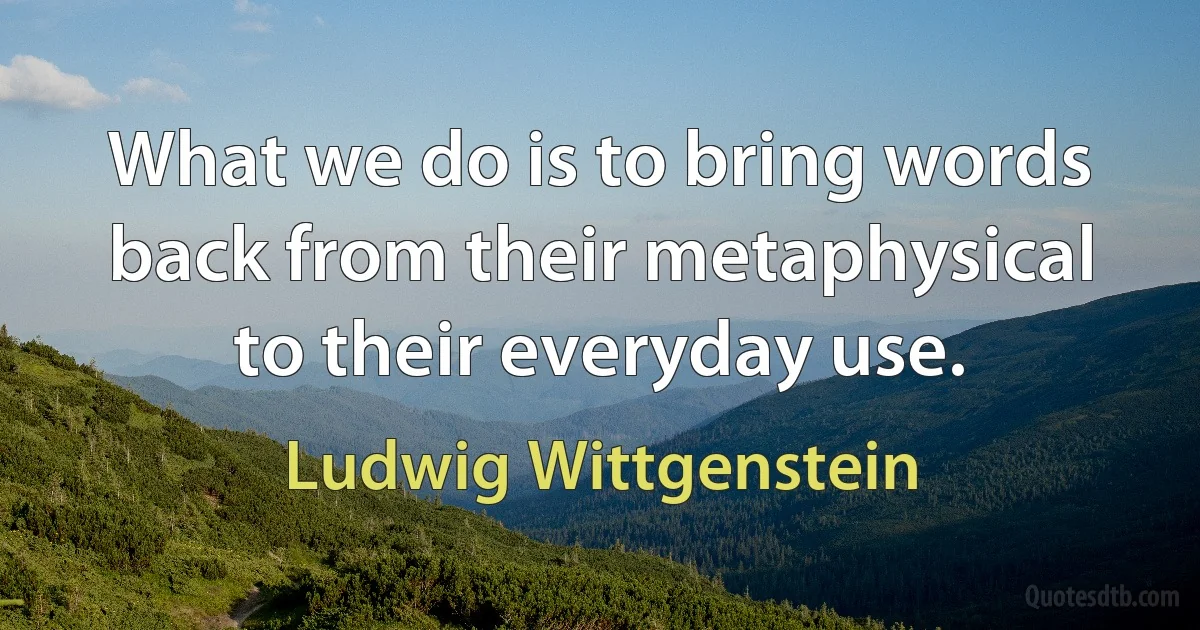 What we do is to bring words back from their metaphysical to their everyday use. (Ludwig Wittgenstein)