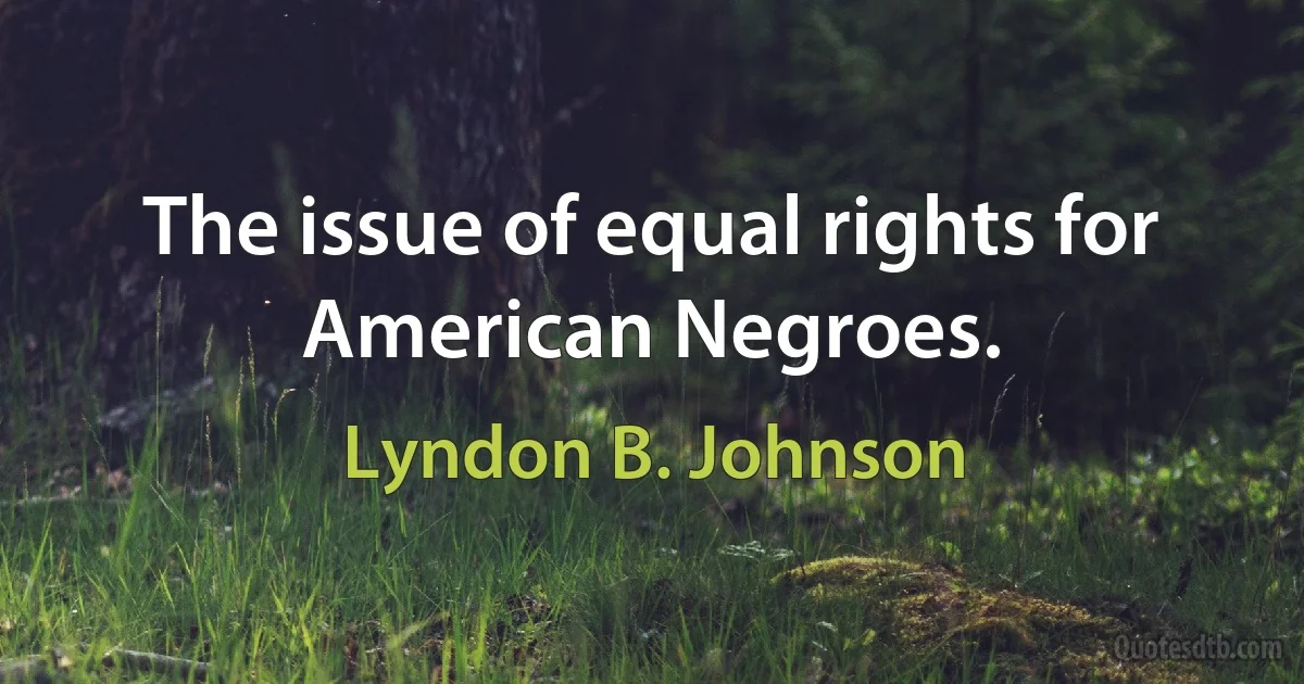 The issue of equal rights for American Negroes. (Lyndon B. Johnson)