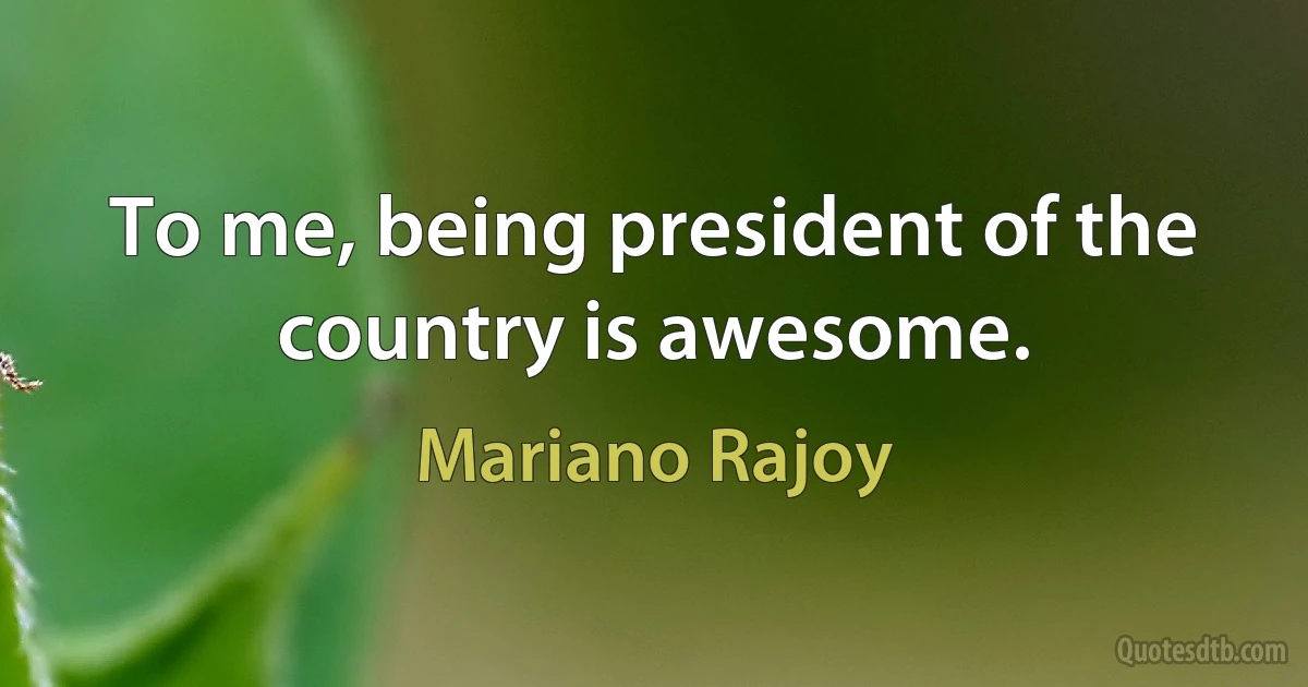 To me, being president of the country is awesome. (Mariano Rajoy)