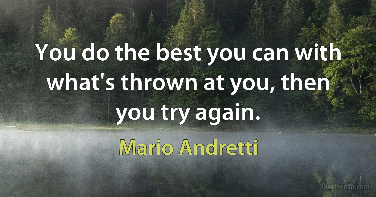 You do the best you can with what's thrown at you, then you try again. (Mario Andretti)