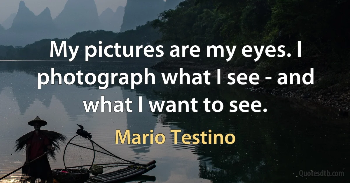 My pictures are my eyes. I photograph what I see - and what I want to see. (Mario Testino)