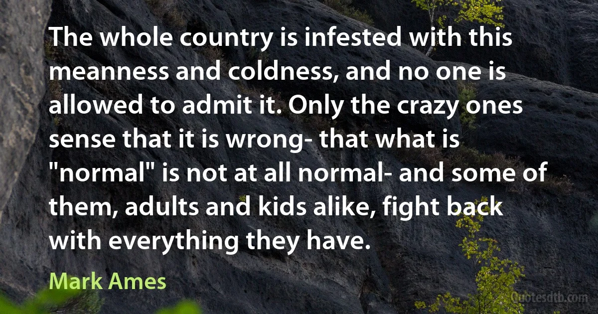 The whole country is infested with this meanness and coldness, and no one is allowed to admit it. Only the crazy ones sense that it is wrong- that what is "normal" is not at all normal- and some of them, adults and kids alike, fight back with everything they have. (Mark Ames)