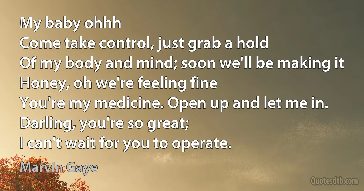 My baby ohhh
Come take control, just grab a hold
Of my body and mind; soon we'll be making it
Honey, oh we're feeling fine
You're my medicine. Open up and let me in.
Darling, you're so great;
I can't wait for you to operate. (Marvin Gaye)