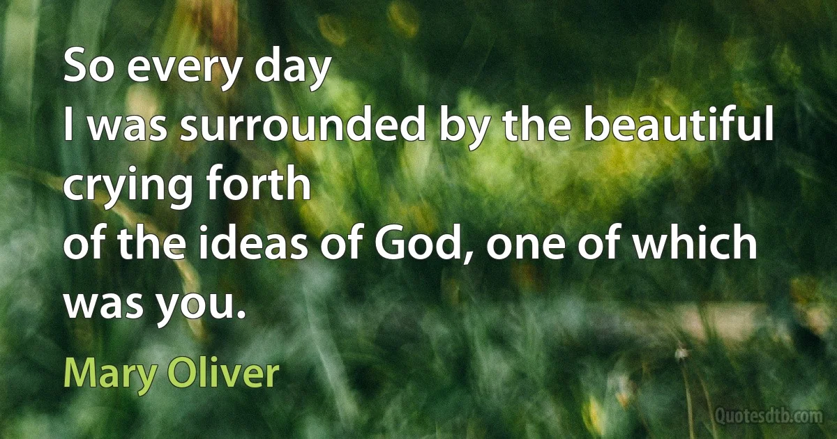 So every day
I was surrounded by the beautiful crying forth
of the ideas of God, one of which was you. (Mary Oliver)