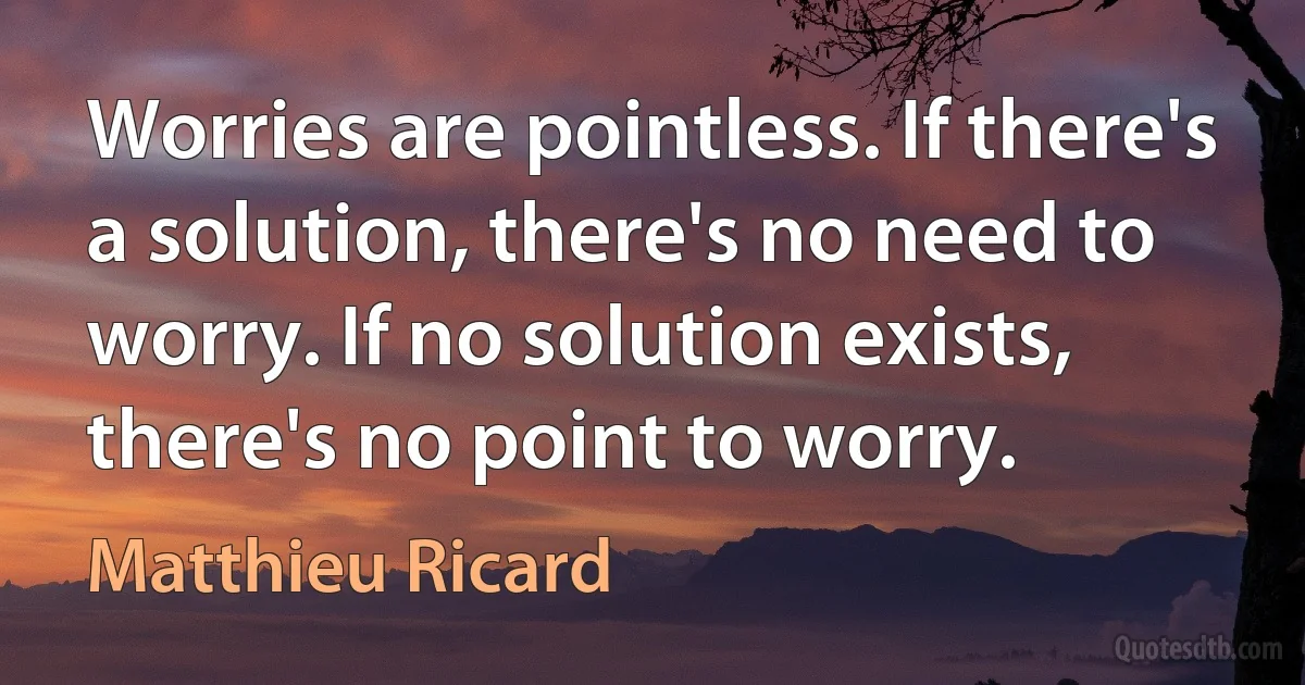 Worries are pointless. If there's a solution, there's no need to worry. If no solution exists, there's no point to worry. (Matthieu Ricard)