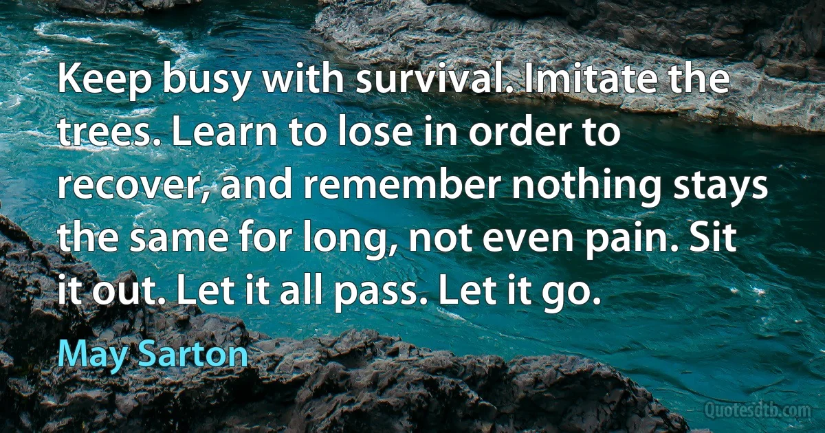 Keep busy with survival. Imitate the trees. Learn to lose in order to recover, and remember nothing stays the same for long, not even pain. Sit it out. Let it all pass. Let it go. (May Sarton)