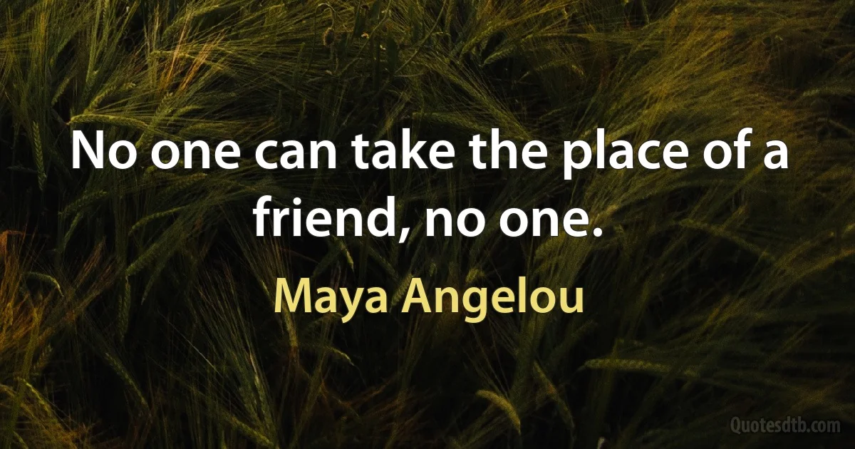 No one can take the place of a friend, no one. (Maya Angelou)