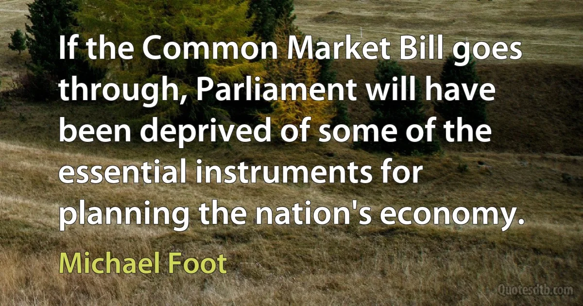 If the Common Market Bill goes through, Parliament will have been deprived of some of the essential instruments for planning the nation's economy. (Michael Foot)