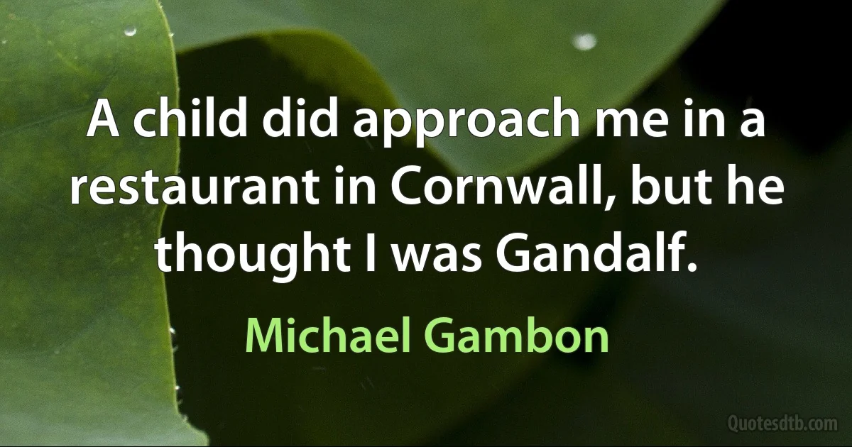 A child did approach me in a restaurant in Cornwall, but he thought I was Gandalf. (Michael Gambon)