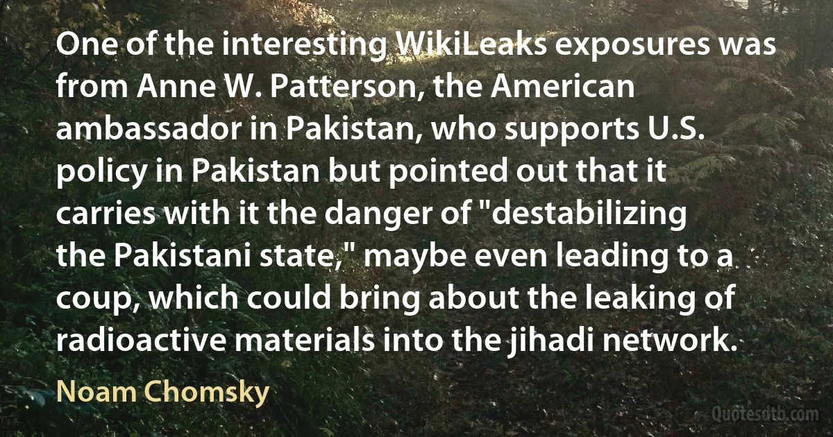 One of the interesting WikiLeaks exposures was from Anne W. Patterson, the American ambassador in Pakistan, who supports U.S. policy in Pakistan but pointed out that it carries with it the danger of "destabilizing the Pakistani state," maybe even leading to a coup, which could bring about the leaking of radioactive materials into the jihadi network. (Noam Chomsky)